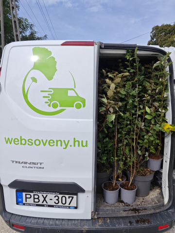 https://www.websoveny.hu/files/menus/297/tn_20241122150541_img_20240926_114954.jpg