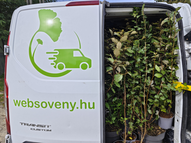 https://www.websoveny.hu/files/menus/305/tn_20241009070458_img_20240926_114959.jpg